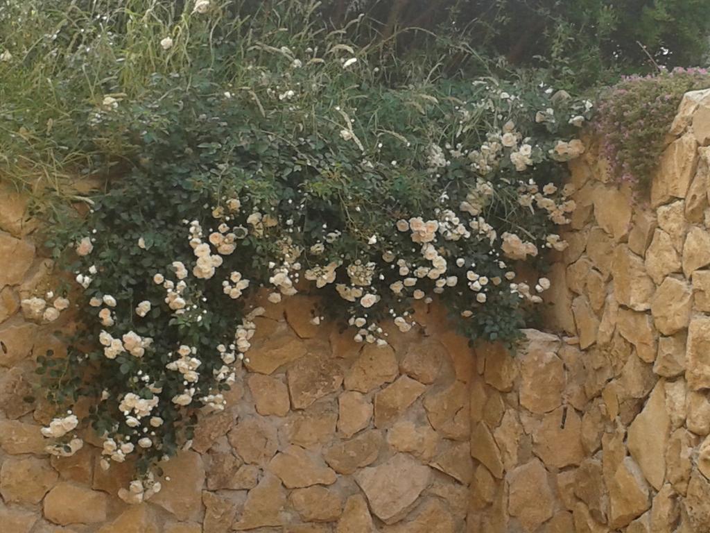 Il Locandiere كابيتانا المظهر الخارجي الصورة